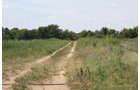 Property photo 4 - 78 Acres offered in 1 tract